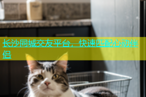 长沙同城交友平台，快速匹配心动伴侣