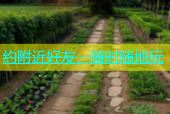 约附近好友，随时随地玩