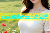 武汉同城微信：高品质