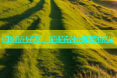 约附近好友，陌陌轻松连结你我