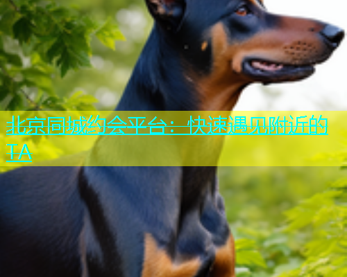 北京同城约会平台：快速遇见附近的TA  第2张