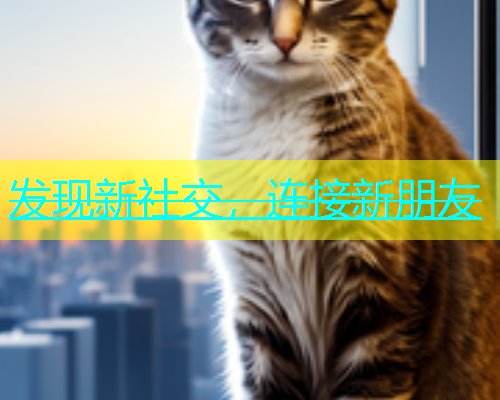 发现新社交，连接新朋友  第1张