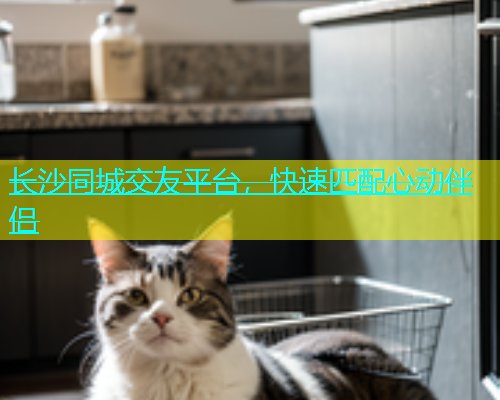 长沙同城交友平台，快速匹配心动伴侣  第1张